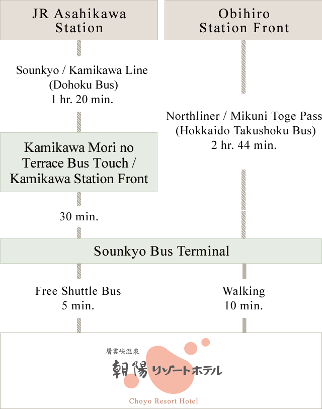 Access by Public Bus