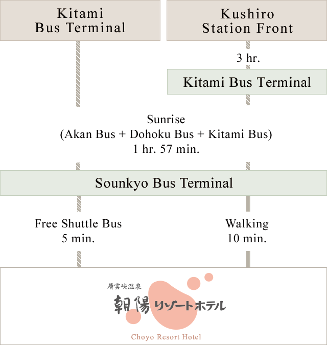Access by Public Bus