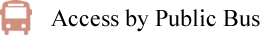 Access by Public Bus