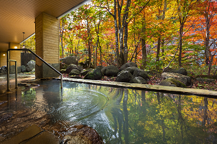 Spa Day Trip