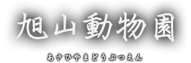 旭山動物園