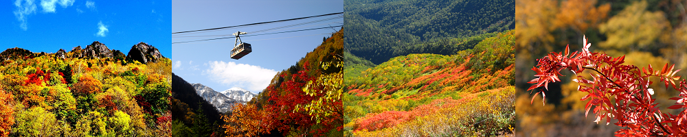 層雲峡の紅葉