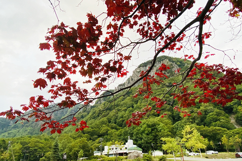 朝陽リゾートホテル前の景色。山々はまだ緑色優勢です