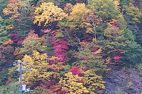 こんなに鮮やかな景色も！