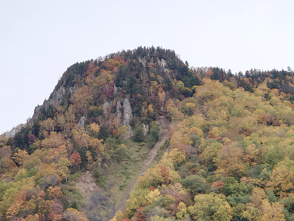 紅葉の季節です