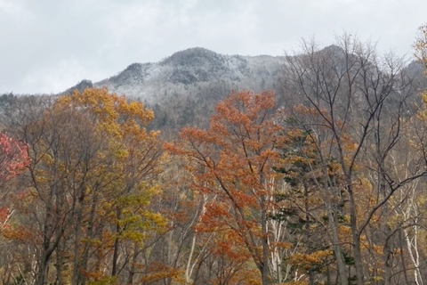 今紅葉狩りに出かけると、冠雪と紅葉をいっぺんに楽しめます！