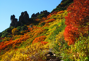 層雲峡紅葉情報