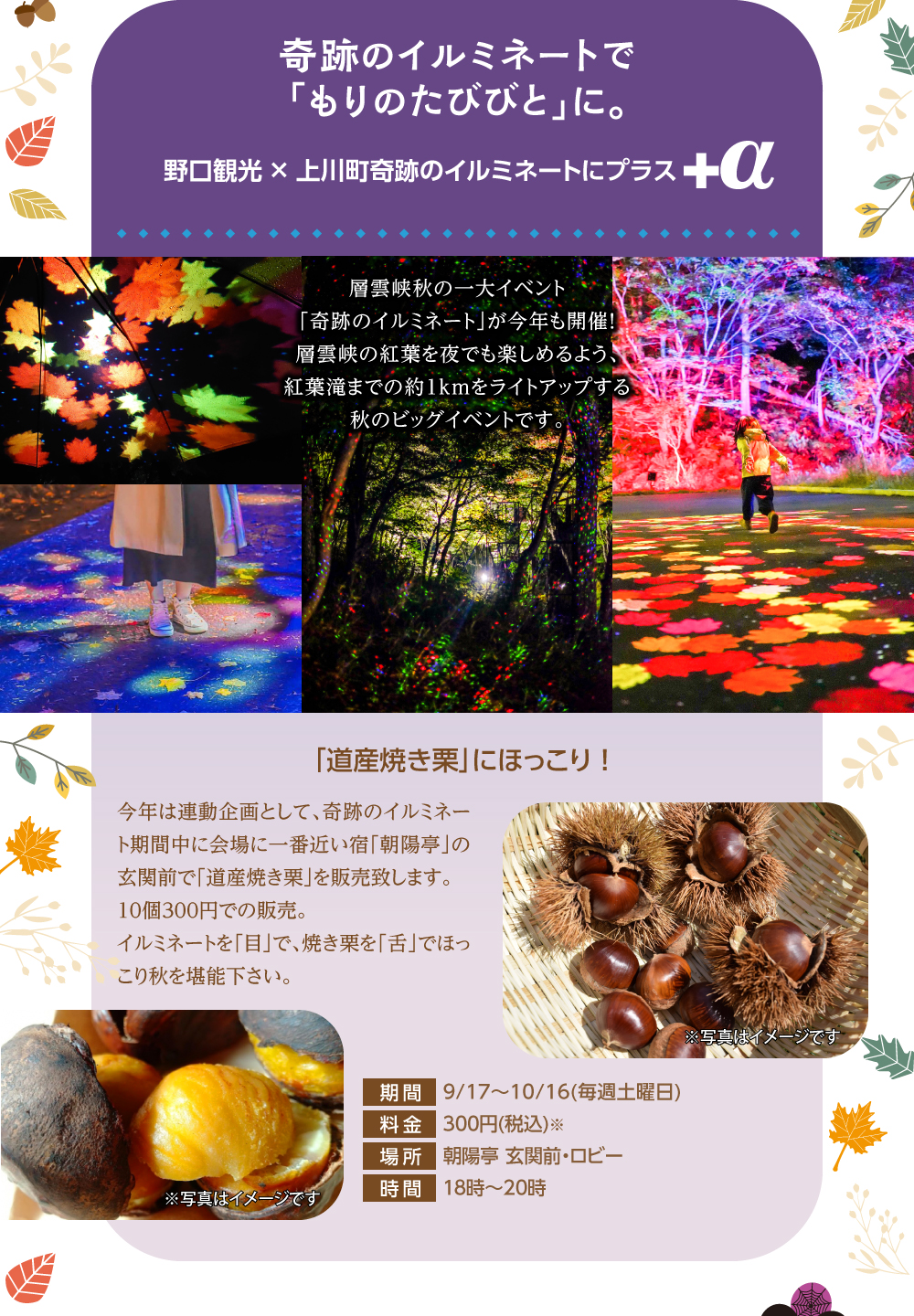 奇跡のイルミネートで「もりのたびびと」に。野口観光×上川町 奇跡のイルミネートにプラス+α 層雲峡の一大イベント「奇跡のイルミネート」が今年も開催!層雲峡の紅葉を夜でも楽しめるよう、紅葉滝までの約1kmをライトアップする秋のビッグイベントです。 「道産焼き栗」にほっこり!今年は連動企画として、奇跡のイルミネート期間中に会場に一番近い宿「朝陽亭」の玄関前で「道産焼き栗」を10個300円で販売いたします。イルミネートを「目」で、焼き栗を「舌」で、ほっこり秋をお楽しみください。
