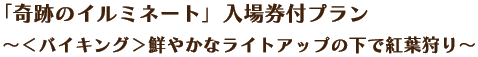 「奇跡のイルミネート」入場券付プラン ～＜バイキング＞鮮やかなライトアップの下で紅葉狩り～